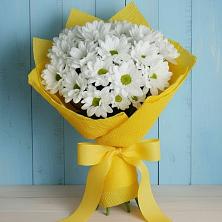 Букет цветов из:  Хризантемы в Первомайском Тульской области