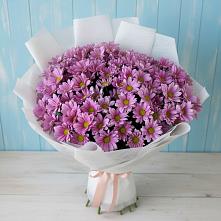 Букет цветов из:  Хризантемы в Первомайском Тульской области