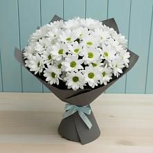 Букет цветов из:  Хризантемы #REPLACE_PRED# Первомайском Тульской области