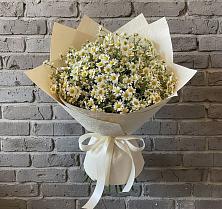 Букет цветов из:  Ромашки в Первомайском Тульской области