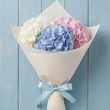 Букет цветов из:  Гортензия в Первомайском Тульской области