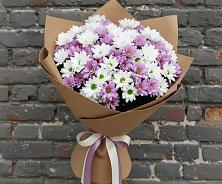 Букет цветов из:  Хризантемы в Первомайском Тульской области