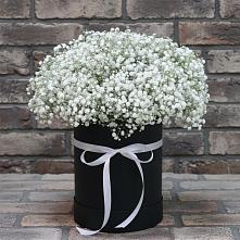 Цветочная композиция из Гипсофила в шляпной коробке в Первомайском Тульской области