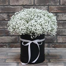 Цветочная композиция из Гипсофила в шляпной коробке в Первомайском Тульской области