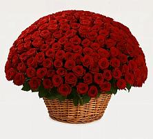 Премиум букет из: Розы в Первомайском Тульской области