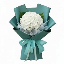 Букет цветов из:  Гортензия в Первомайском Тульской области